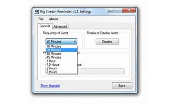 Big Stretch RSI Reminder for Windows - Download it from Habererciyes for free